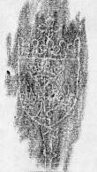 DE2130-B99_198 - Typ:0 - ID: 152646 - Eintrag Nr.: 92 Wasserzeichen DE2130-B99_198