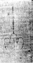 DE5025-tl56_4 - Typ:0 - ID: 153115 - Eintrag Nr.: 3 Wasserzeichen DE5025-tl56_4