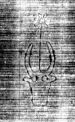 DE5025-tl56_268 - Typ:0 - ID: 153130 - Eintrag Nr.: 6 Wasserzeichen DE5025-tl56_268