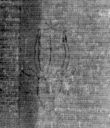 DE5025-tl55_7 - Typ:0 - ID: 153203 - Eintrag Nr.: 3 Wasserzeichen DE5025-tl55_7