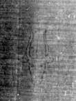 DE5025-tl55_8 - Typ:0 - ID: 153204 - Eintrag Nr.: 2 Wasserzeichen DE5025-tl55_8