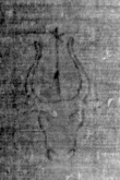 DE5025-tl55_13 - Typ:0 - ID: 153207 - Eintrag Nr.: 17 Wasserzeichen DE5025-tl55_13