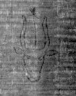 DE5025-tl55_14 - Typ:0 - ID: 153208 - Eintrag Nr.: 16 Wasserzeichen DE5025-tl55_14
