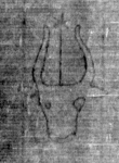 DE5025-tl55_21 - Typ:0 - ID: 153209 - Eintrag Nr.: 15 Wasserzeichen DE5025-tl55_21