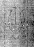 DE5025-tl55_28 - Typ:0 - ID: 153211 - Eintrag Nr.: 19 Wasserzeichen DE5025-tl55_28