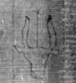 DE5025-tl55_36 - Typ:0 - ID: 153213 - Eintrag Nr.: 17 Wasserzeichen DE5025-tl55_36