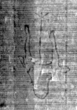 DE5025-tl55_39 - Typ:0 - ID: 153214 - Eintrag Nr.: 16 Wasserzeichen DE5025-tl55_39