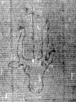 DE5025-tl55_59 - Typ:0 - ID: 153216 - Eintrag Nr.: 14 Wasserzeichen DE5025-tl55_59