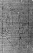 DE5025-tl55_69 - Typ:0 - ID: 153219 - Eintrag Nr.: 12 Wasserzeichen DE5025-tl55_69