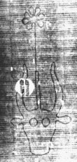 DE5025-tl55_231 - Typ:0 - ID: 153227 - Eintrag Nr.: 8 Wasserzeichen DE5025-tl55_231