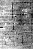 DE5025-tl55_244 - Typ:0 - ID: 153229 - Eintrag Nr.: 7 Wasserzeichen DE5025-tl55_244