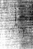 DE5025-tl55_245 - Typ:0 - ID: 153230 - Eintrag Nr.: 6 Wasserzeichen DE5025-tl55_245
