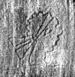 DE5025-tl70_14 - Typ:0 - ID: 153278 - Eintrag Nr.: 3 Wasserzeichen DE5025-tl70_14