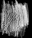 DE5025-tl70_17 - Typ:0 - ID: 153279 - Eintrag Nr.: 2 Wasserzeichen DE5025-tl70_17
