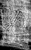 DE5025-tl70_42 - Typ:0 - ID: 153280 - Eintrag Nr.: 1 Wasserzeichen DE5025-tl70_42