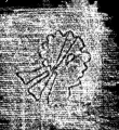 DE5025-tl70_55 - Typ:0 - ID: 153281 - Eintrag Nr.: 100 Wasserzeichen DE5025-tl70_55