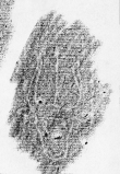 DE2130-B132_95 - Typ:0 - ID: 153415 - Eintrag Nr.: 19 Wasserzeichen DE2130-B132_95