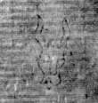DE8850-71.20A2_39 - Typ:0 - ID: 153574 - Eintrag Nr.: 131 Wasserzeichen DE8850-71.20A2_39