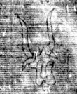 DE8850-71.20A2_63 - Typ:0 - ID: 153578 - Eintrag Nr.: 132 Wasserzeichen DE8850-71.20A2_63
