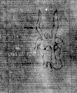 DE8850-71.20A2_114 - Typ:0 - ID: 153582 - Eintrag Nr.: 135 Wasserzeichen DE8850-71.20A2_114
