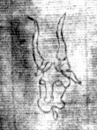DE8850-71.20A2_133 - Typ:0 - ID: 153587 - Eintrag Nr.: 137 Wasserzeichen DE8850-71.20A2_133