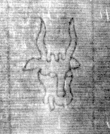 DE8850-71.20A2_168 - Typ:0 - ID: 153588 - Eintrag Nr.: 138 Wasserzeichen DE8850-71.20A2_168
