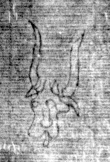 DE8850-71.20A2_175 - Typ:0 - ID: 153590 - Eintrag Nr.: 139 Wasserzeichen DE8850-71.20A2_175