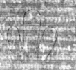 DE5025-tl49_41 - Typ:0 - ID: 153708 - Eintrag Nr.: 5 Wasserzeichen DE5025-tl49_41
