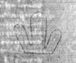 DE5025-tl49_297 - Typ:0 - ID: 153711 - Eintrag Nr.: 2 Wasserzeichen DE5025-tl49_297
