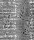 DE5025-tl49_314 - Typ:0 - ID: 153713 - Eintrag Nr.: 1 Wasserzeichen DE5025-tl49_314