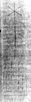 DE5025-tl66_21 - Typ:0 - ID: 153716 - Eintrag Nr.: 85 Wasserzeichen DE5025-tl66_21