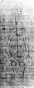 DE5025-tl66_62 - Typ:0 - ID: 153720 - Eintrag Nr.: 119 Wasserzeichen DE5025-tl66_62