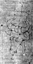 DE5025-tl67_346 - Typ:0 - ID: 153738 - Eintrag Nr.: 14 Wasserzeichen DE5025-tl67_346