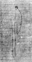 DE5025-tl73_36 - Typ:0 - ID: 153796 - Eintrag Nr.: 17 Wasserzeichen DE5025-tl73_36