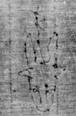 DE5025-tl73_114 - Typ:0 - ID: 153800 - Eintrag Nr.: 13 Wasserzeichen DE5025-tl73_114