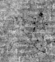 DE5025-tl73_128 - Typ:0 - ID: 153803 - Eintrag Nr.: 11 Wasserzeichen DE5025-tl73_128