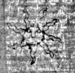 Wasserzeichen DE5025-tl74_101