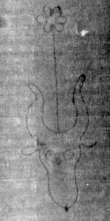 DE5025-tl75_35 - Typ:0 - ID: 153893 - Eintrag Nr.: 2 Wasserzeichen DE5025-tl75_35