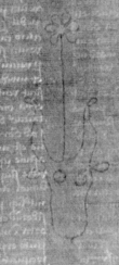 DE5025-tl75_60 - Typ:0 - ID: 153895 - Eintrag Nr.: 9 Wasserzeichen DE5025-tl75_60