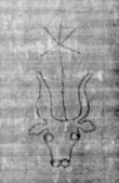 DE5025-tl77_5 - Typ:0 - ID: 153922 - Eintrag Nr.: 2 Wasserzeichen DE5025-tl77_5