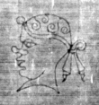 DE5025-tl77_320 - Typ:0 - ID: 153942 - Eintrag Nr.: 78 Wasserzeichen DE5025-tl77_320