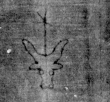 DE5025-tl79_100 - Typ:0 - ID: 153991 - Eintrag Nr.: 26 Wasserzeichen DE5025-tl79_100