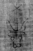 DE5025-tl79_145 - Typ:0 - ID: 153996 - Eintrag Nr.: 21 Wasserzeichen DE5025-tl79_145