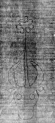 DE5025-tl78_7 - Typ:0 - ID: 154109 - Eintrag Nr.: 24 Wasserzeichen DE5025-tl78_7