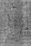 DE5025-tl78_62 - Typ:0 - ID: 154111 - Eintrag Nr.: 23 Wasserzeichen DE5025-tl78_62