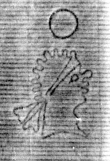 DE5025-tl78_171 - Typ:0 - ID: 154135 - Eintrag Nr.: 17 Wasserzeichen DE5025-tl78_171