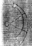 DE5025-tl78_174 - Typ:0 - ID: 154136 - Eintrag Nr.: 16 Wasserzeichen DE5025-tl78_174