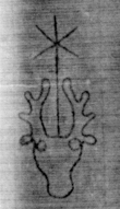 DE5025-tl78_248 - Typ:0 - ID: 154140 - Eintrag Nr.: 14 Wasserzeichen DE5025-tl78_248