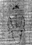 DE5025-tl78_276 - Typ:0 - ID: 154143 - Eintrag Nr.: 12 Wasserzeichen DE5025-tl78_276