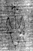 DE5025-tl78_277 - Typ:0 - ID: 154145 - Eintrag Nr.: 11 Wasserzeichen DE5025-tl78_277